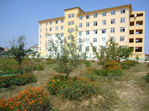Asarcık Hükümet Konağı 4