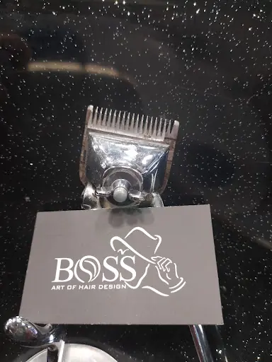 Boss Erkek Kuaförü 2