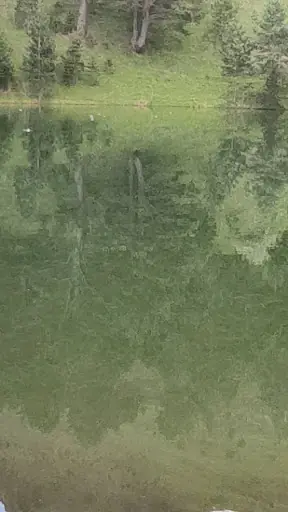 Altınpınar Limni Gölü 4