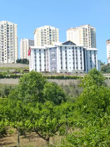Özel Darül Şifa Engelli Bakım Merkezi