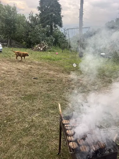 Güler Malikhanesi Ordu 4