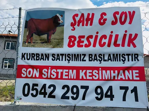ŞAH&SOY BESİ VE KURBANLIK ÇİFTLİĞİ
