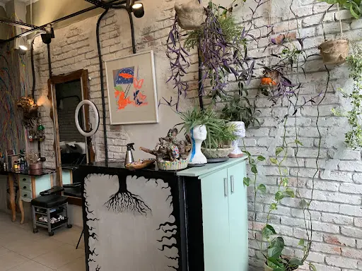 Root hair studio