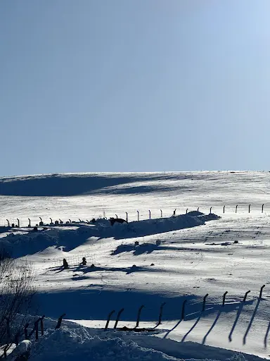 Hanik-Xanık