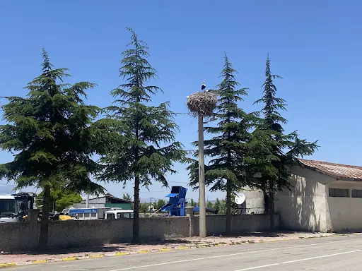 Yalıhüyük Belediyesi Düğün Salonu 2