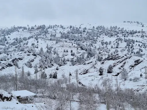 Çataloluk Çeşmesi 3