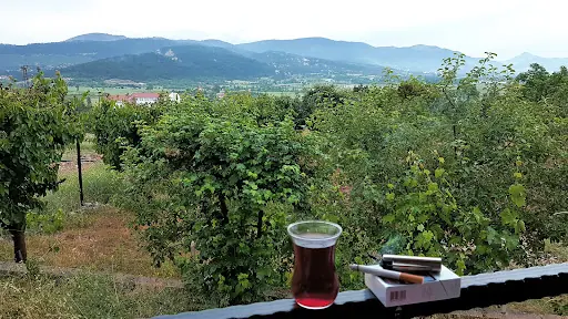 Bıçakçı Karahan Ceviz Çiftliği