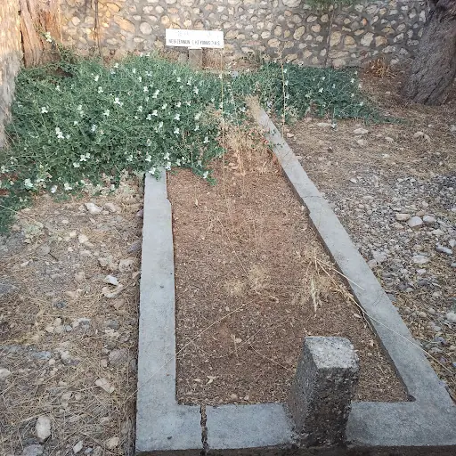 Zennun Aleyhisselam Yunus Peygamber 2