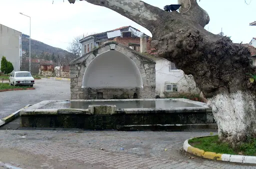 Çatalca Merkez – Diğer (Güzellik), Çatalca, İstanbul (4. fotoğraf)