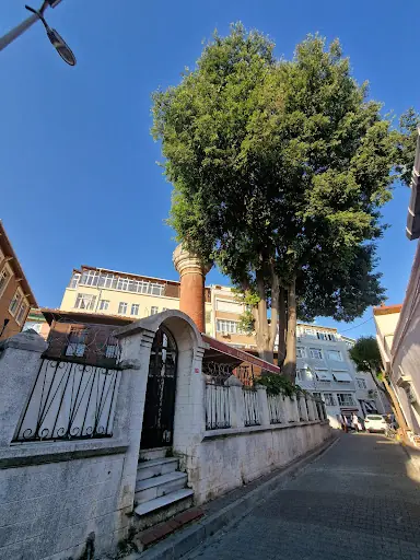 Akseki Mescidi – Diğer (Güzellik), İstanbul (5. fotoğraf)