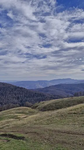 BACAKLI YAYLASI 2