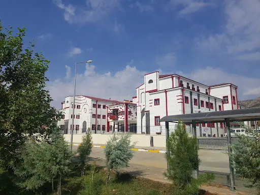 Lice Kaymakamlığı 2