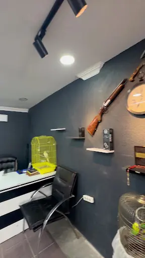 Salon Umut Sarı 3